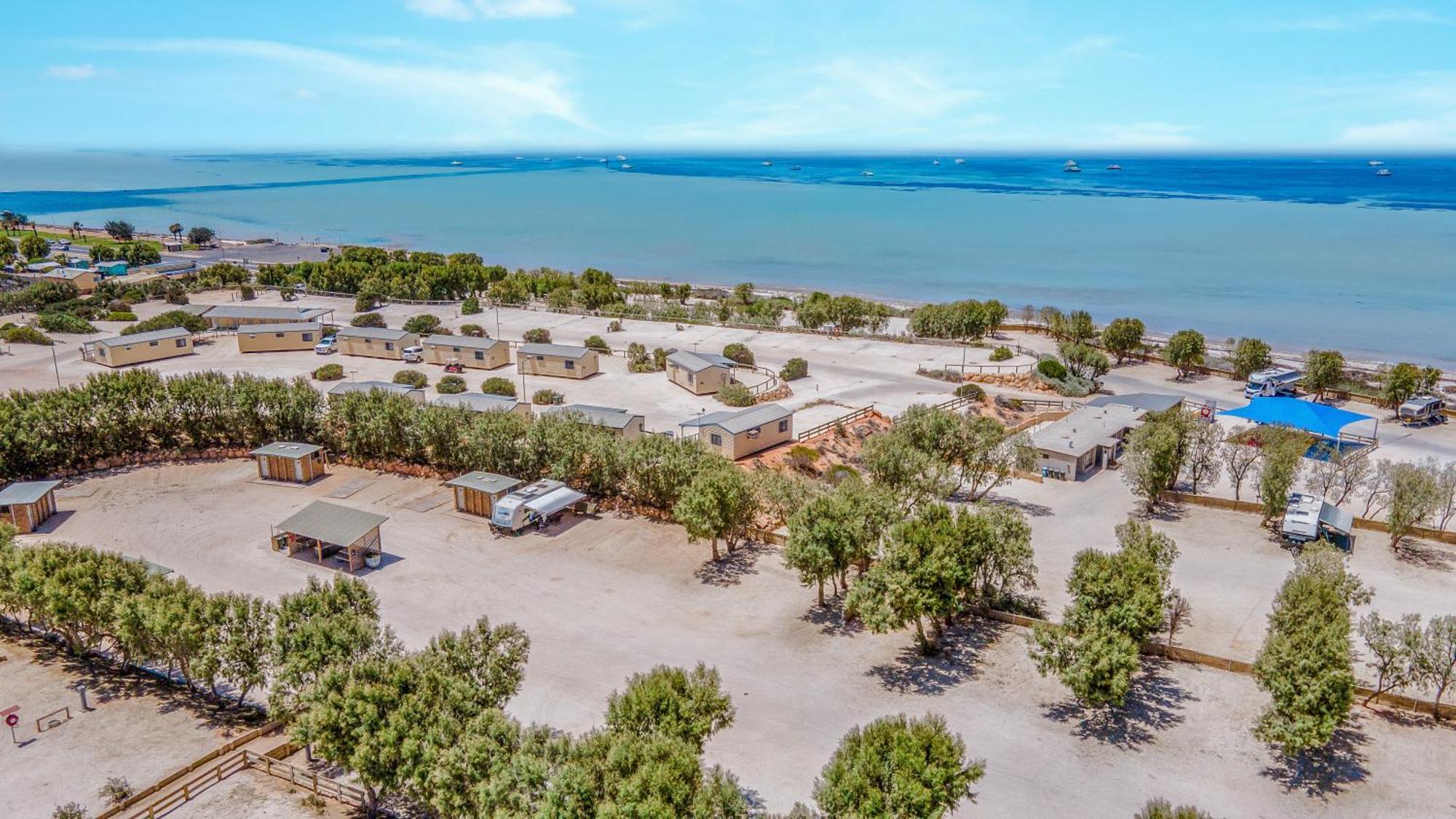 Tasman Holiday Parks - Denham Seaside Екстериор снимка
